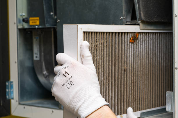 Best Home Air Vent Cleaning  in Pretty Bayou, FL