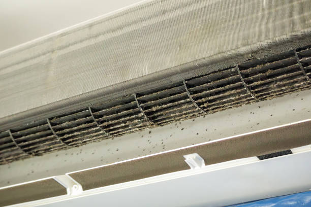 Best Affordable Duct Cleaning Services  in Pretty Bayou, FL